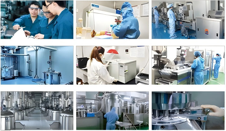 Probiotic Pet Chews – Digestive Health Support for Dogs