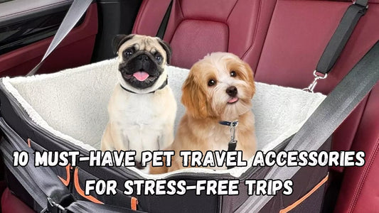 10 Must-Have Pet Travel Accessories for Stress-Free Trips