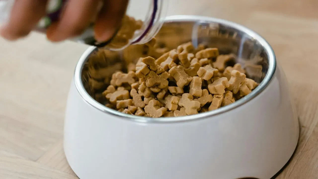 Nutrition for your pets