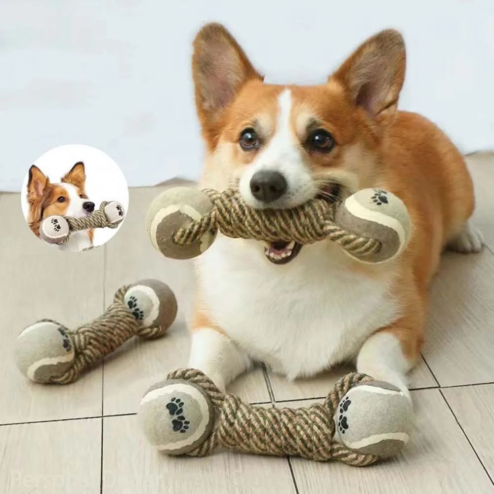 Interactive Rope and Tennis Ball Toy for Playful Pets