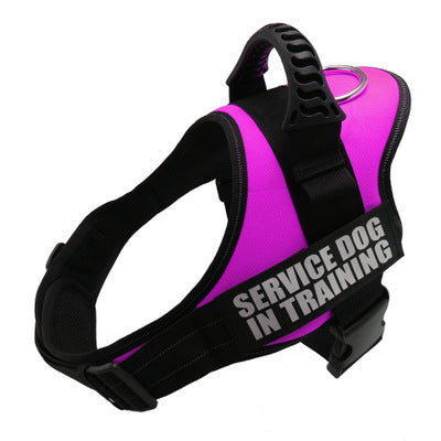 Personalized No-Pull Dog Harness – Safe, Reflective, Comfortable Fit
