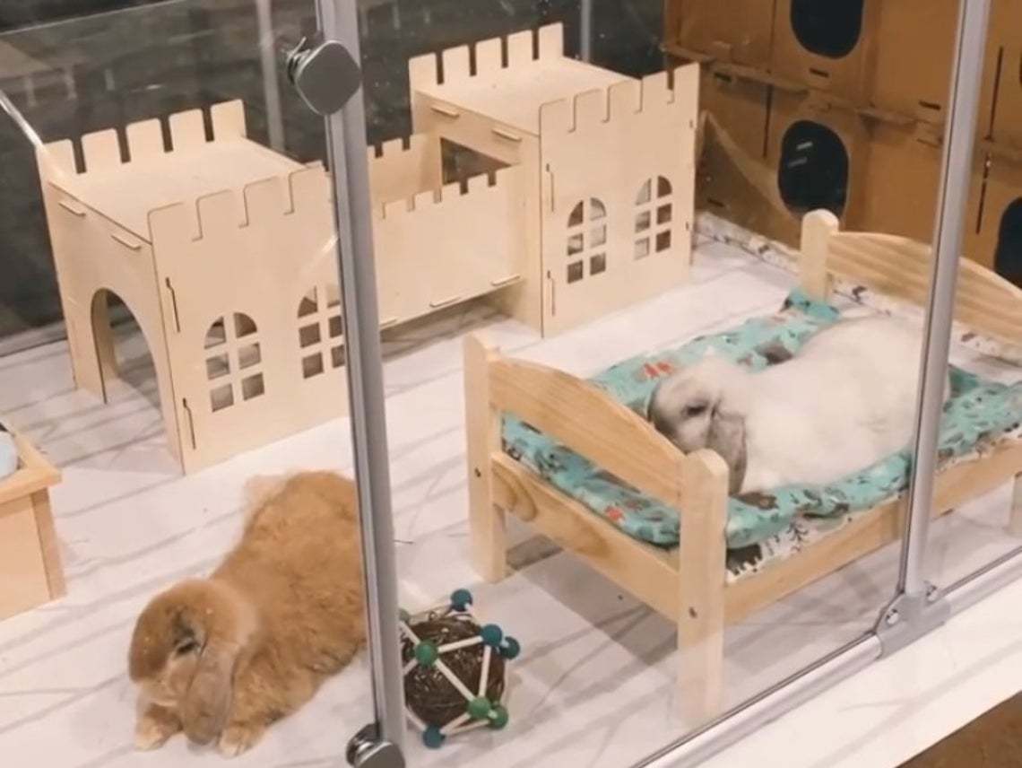 Detachable Rabbit Castle House for Happy Small Pets