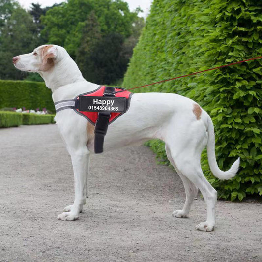 Personalized No-Pull Dog Harness – Safe, Reflective, Comfortable Fit