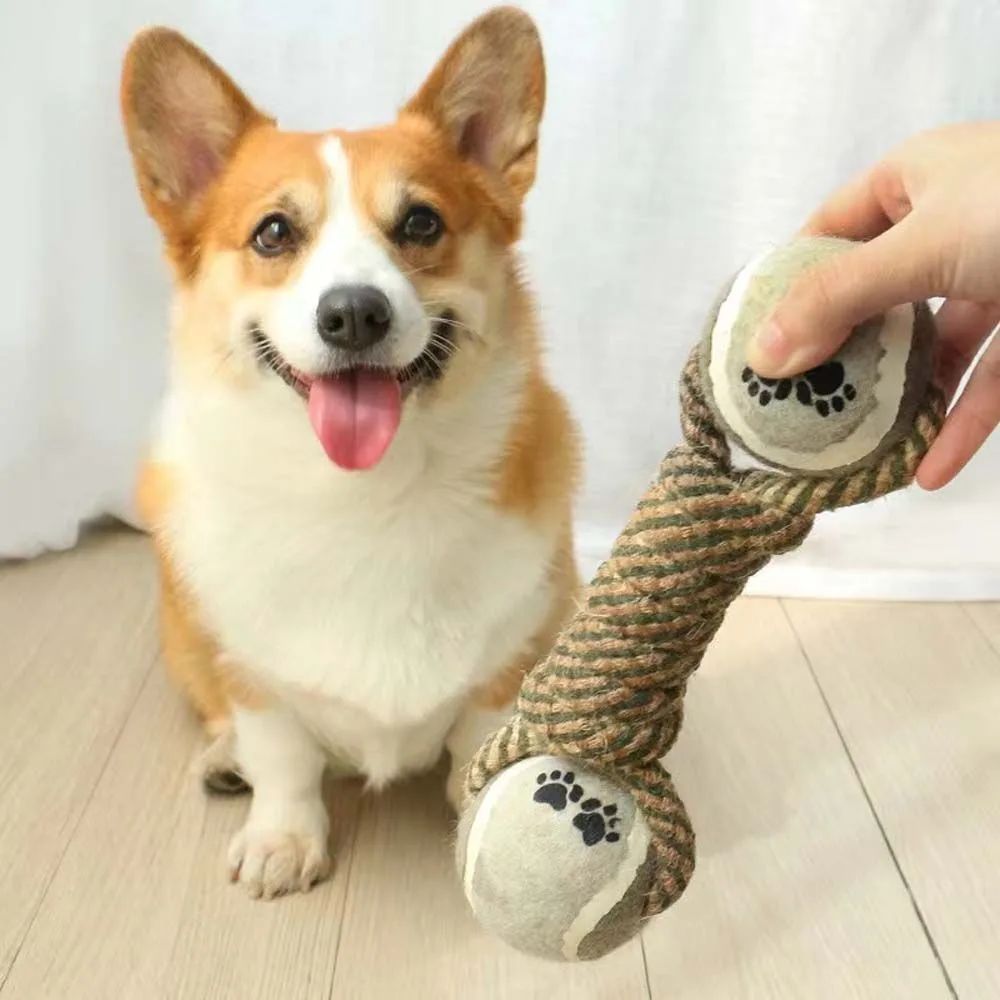 Interactive Rope and Tennis Ball Toy for Playful Pets