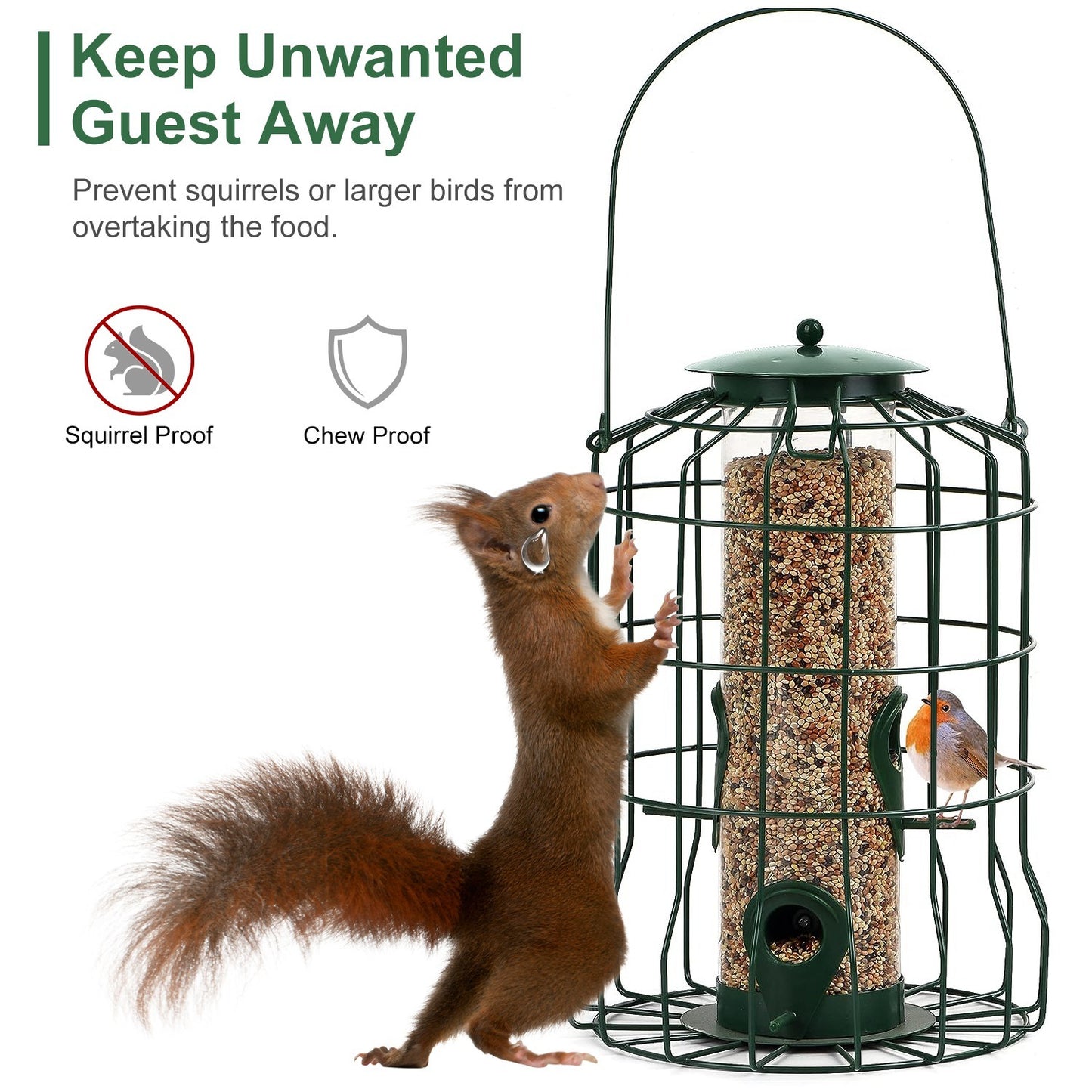 Durable Outdoor Bird Feeder for Small Songbirds