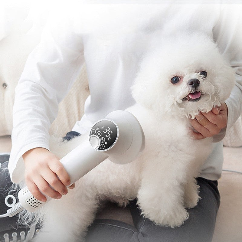 Gentle Blow-Dry Comb for Dogs & Cats