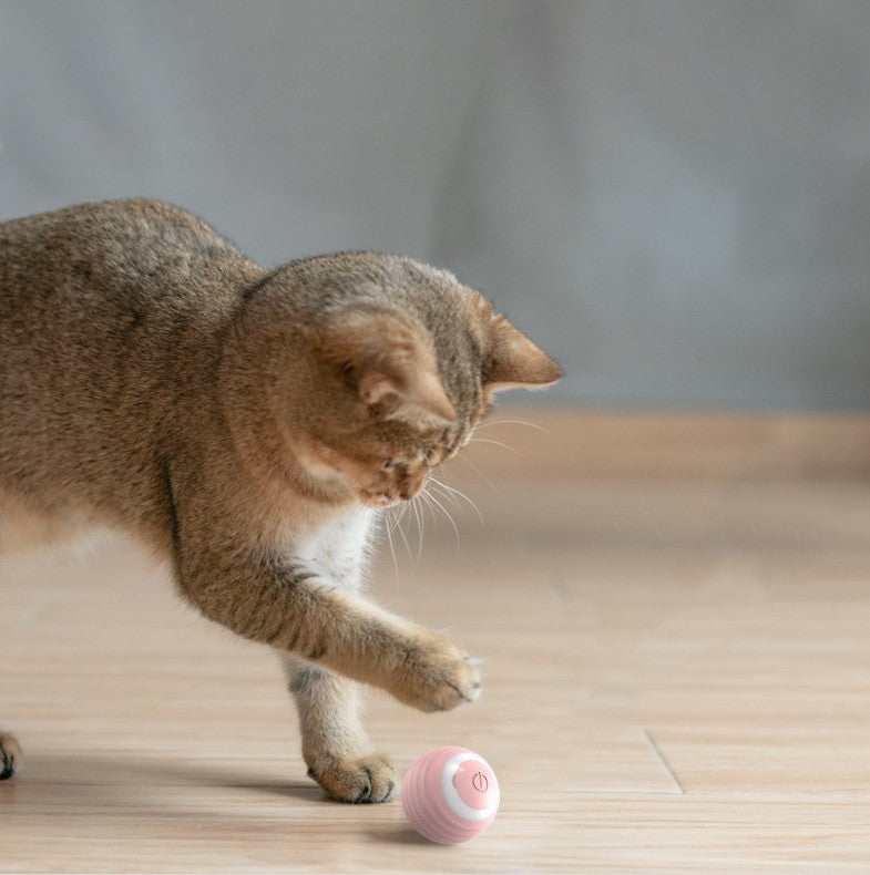 Smart Self-Moving Cat Toy Ball