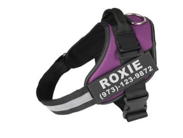 Personalized No-Pull Dog Harness – Safe, Reflective, Comfortable Fit