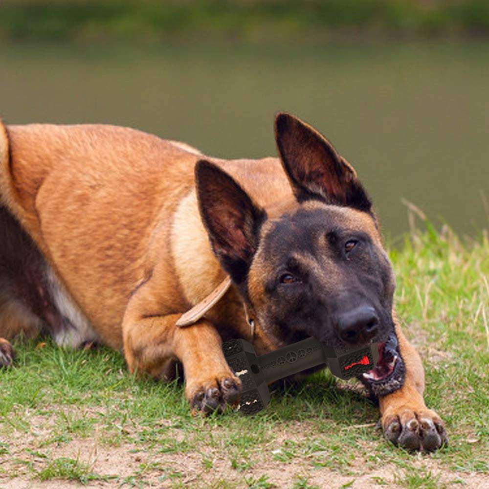 Food-Grade Dog Chew Toy for Strong Biters – Interactive & Tough