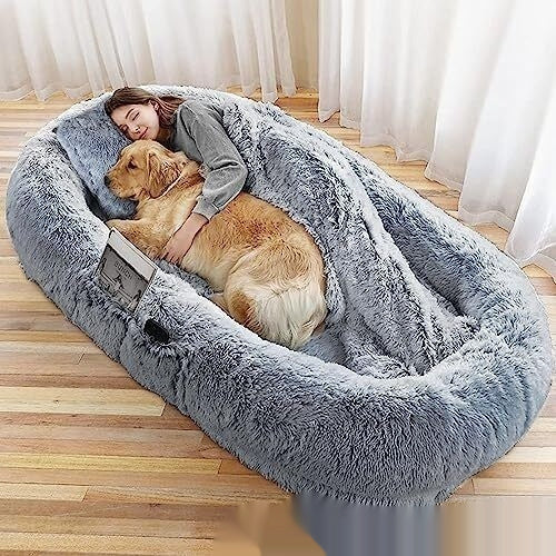 Cozy Queen Bed Plush Sofa for You and Your Dog