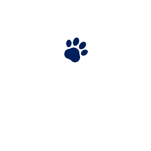 Suresh's Pet Boutique