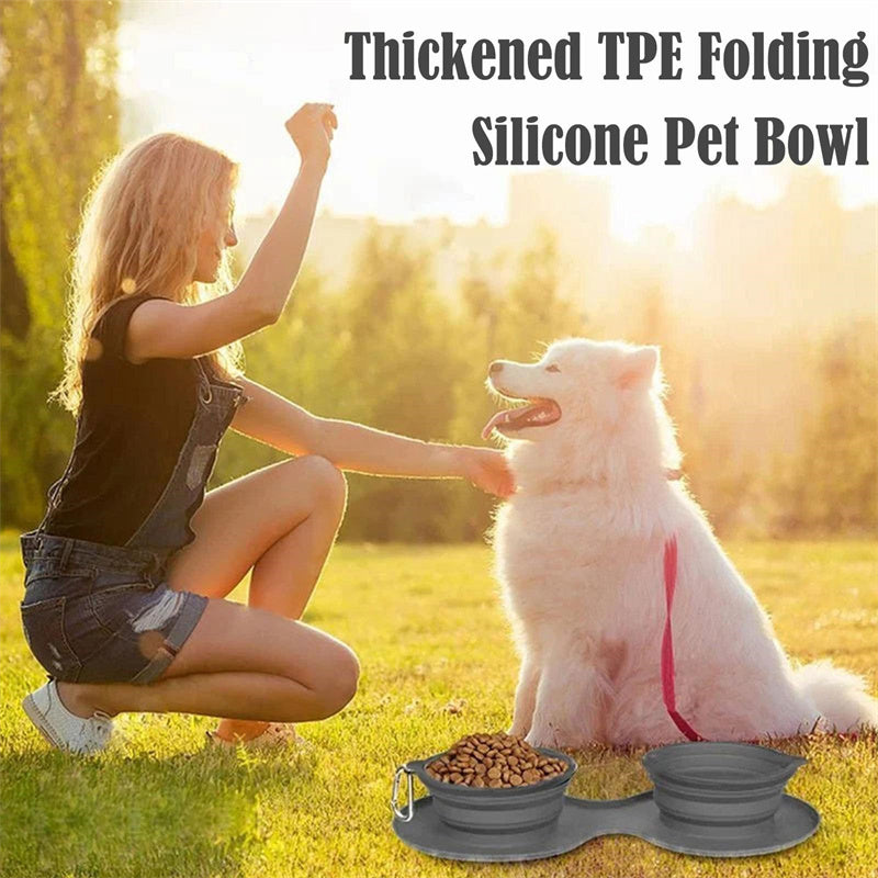 Portable Foldable Pet Bowl Duo for Mess-Free Mealtime