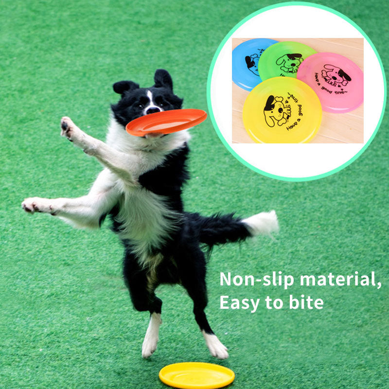 Dog playing with a frisbee on a green field, with inset images of colorful frisbees.