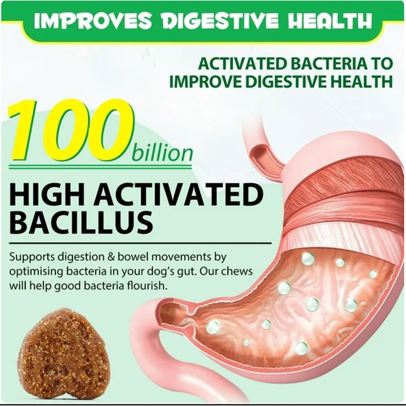 Probiotic Pet Chews – Digestive Health Support for Dogs