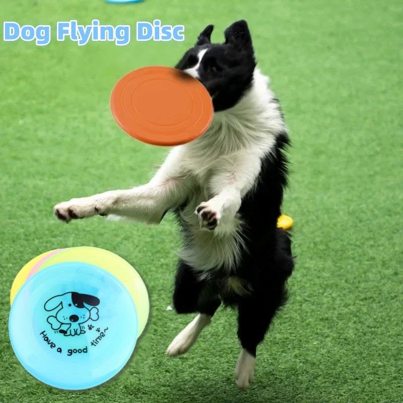 Dog playing with a flying disc on a green grass background